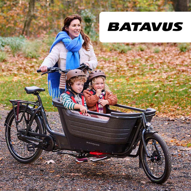 Batavus